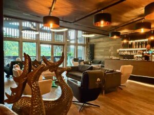 Vosges-Xonrupt-Longemer-hotel-chalet-Collet-bar