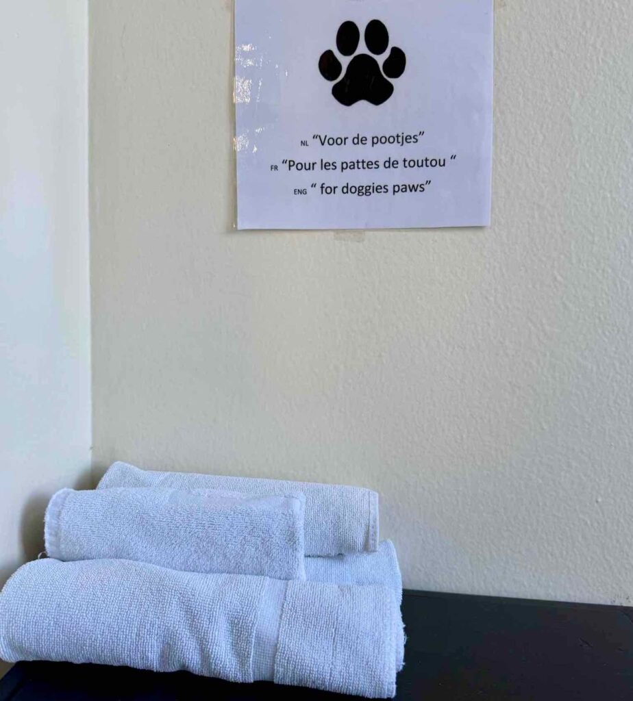 Bruges-neuf-suggestions-hotel-Adornes-toutous