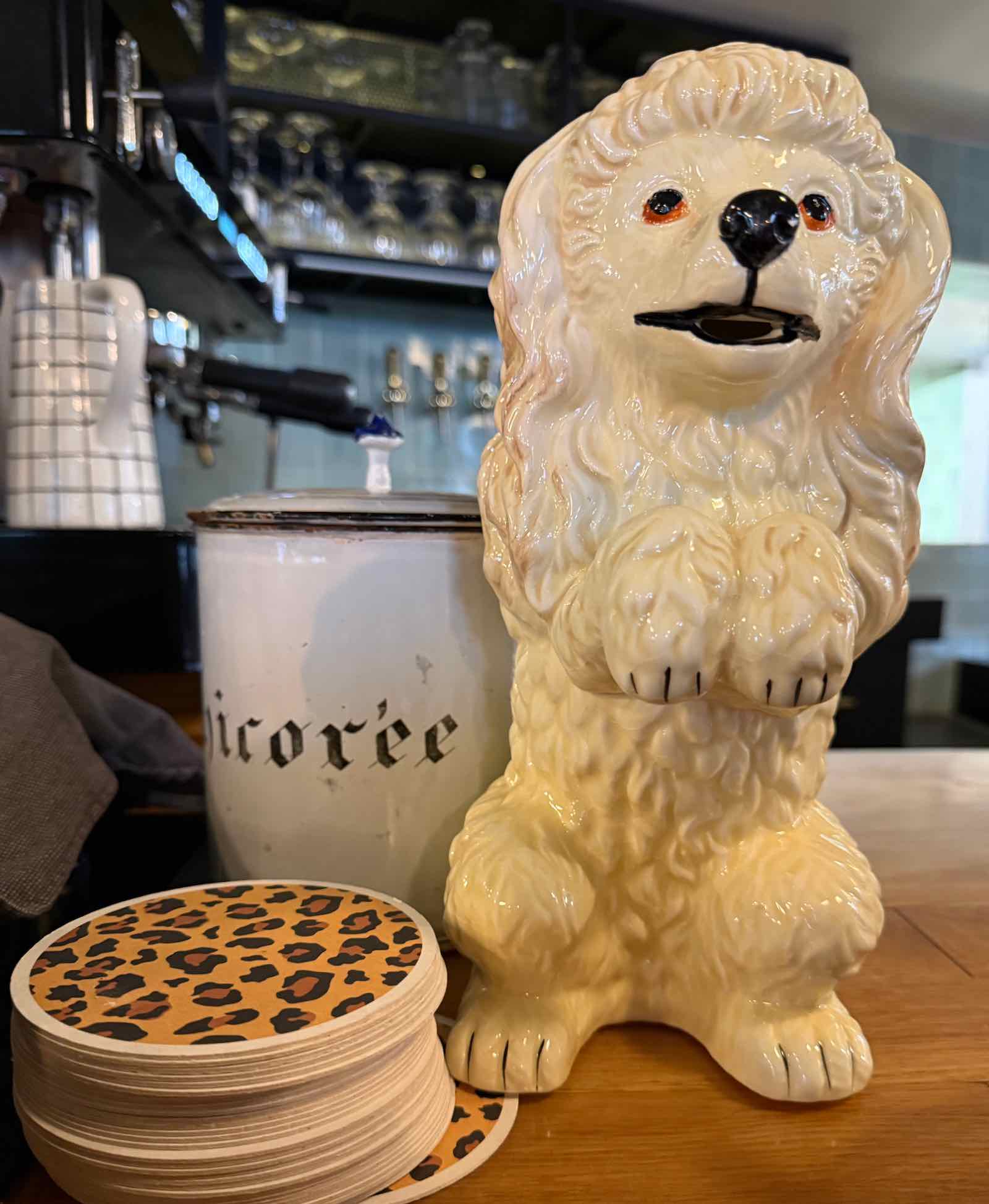 La-Cantine-des-Arcades-à-Tourcoing-caniche