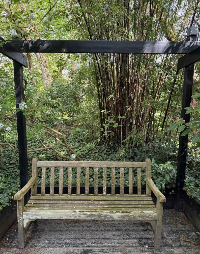 Celles-parc-de-la-Feuillerie-banc-sous-bambous