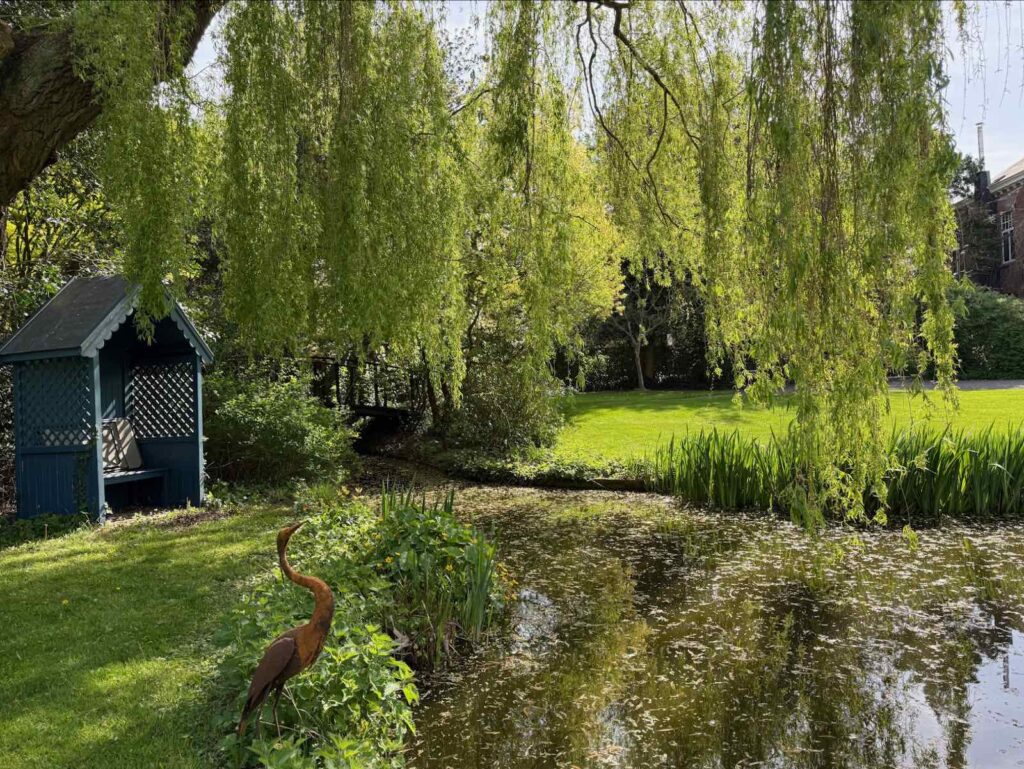 Celles-parc-de-la-Feuillerie-etang