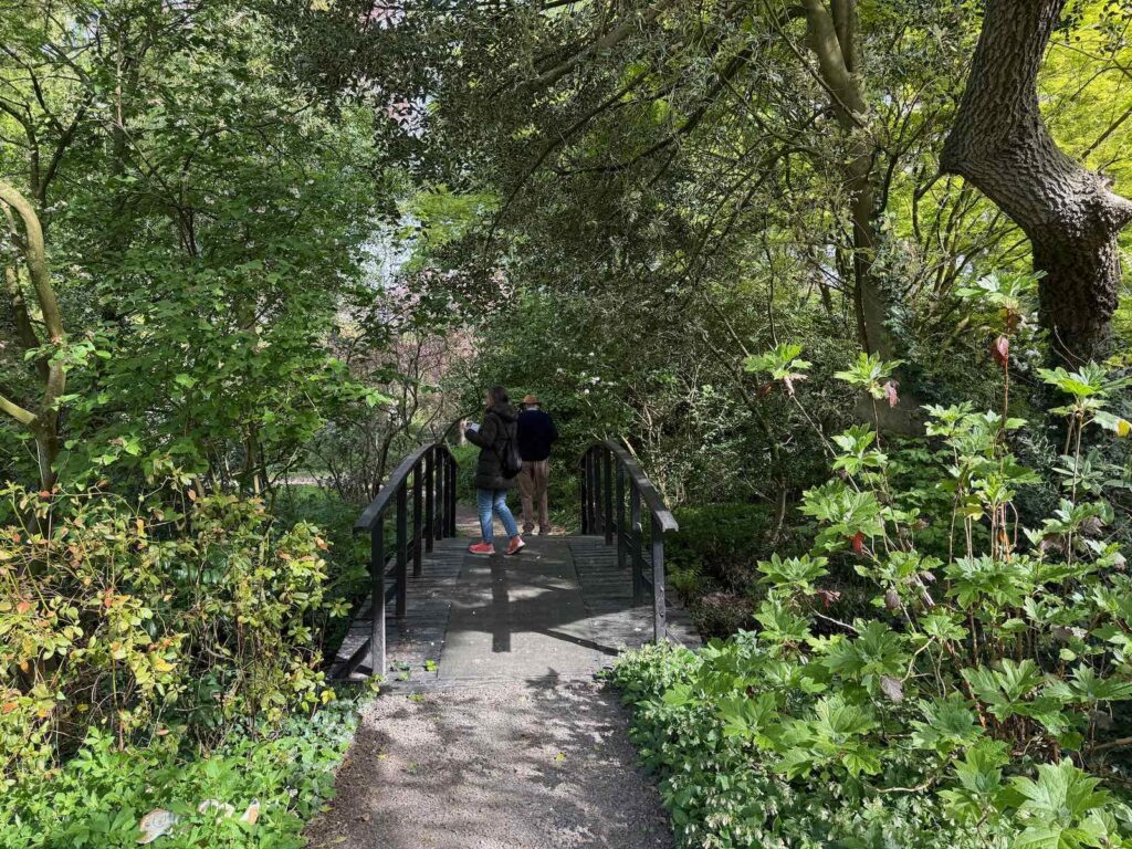 Celles-parc-de-la-Feuillerie-petit-pont