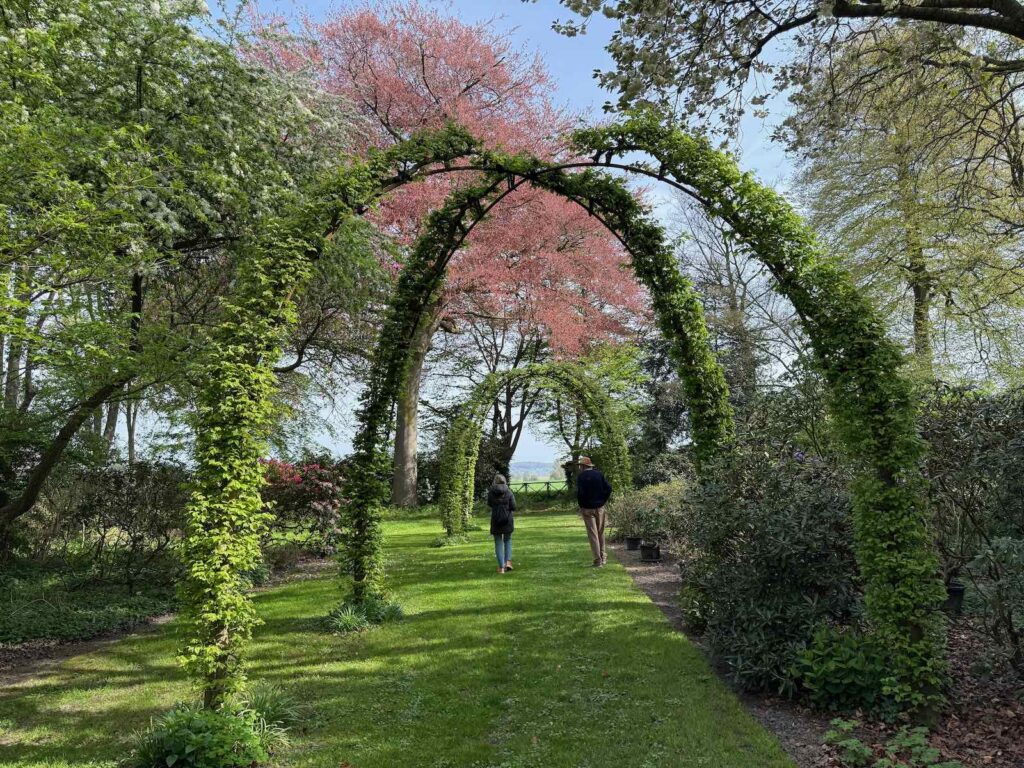 Celles-parc-de-la-Feuillerie-vue-sur-le-mont-de-l-Enclus