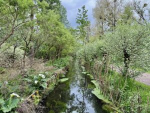 Dans-les-7-Vallees-cinq-activites-a-tester-balade-marais-de-La-Madelaine-sous-Montreuil-fosse-et-vegetation