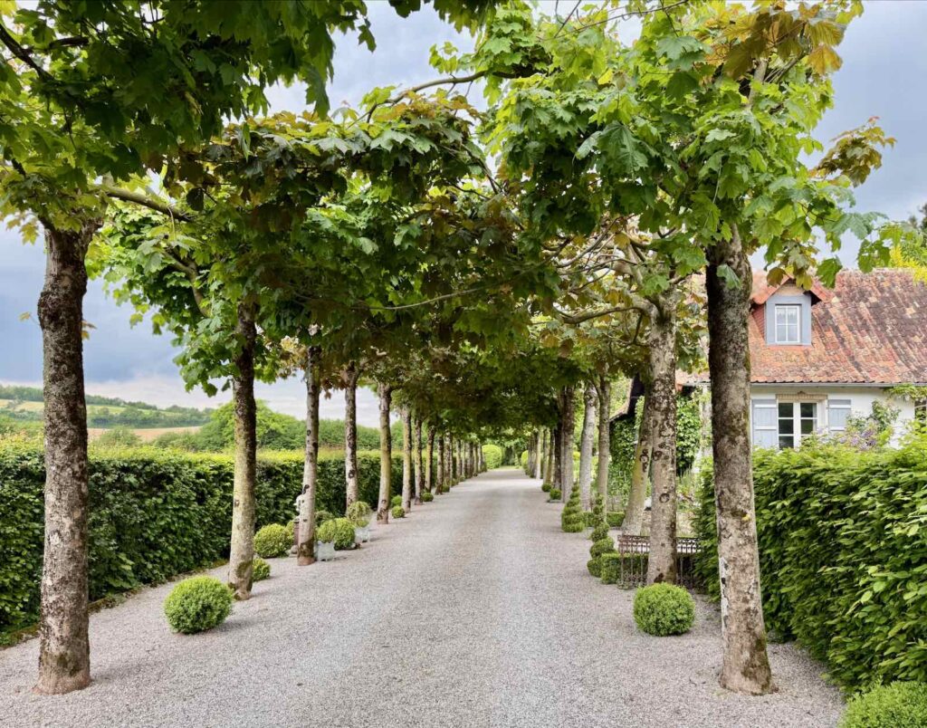 Doudeauville-Jardin-de-la-Maison-des-champs-allee