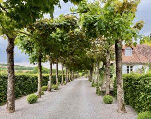 Doudeauville-Jardin-de-la-Maison-des-champs-allee