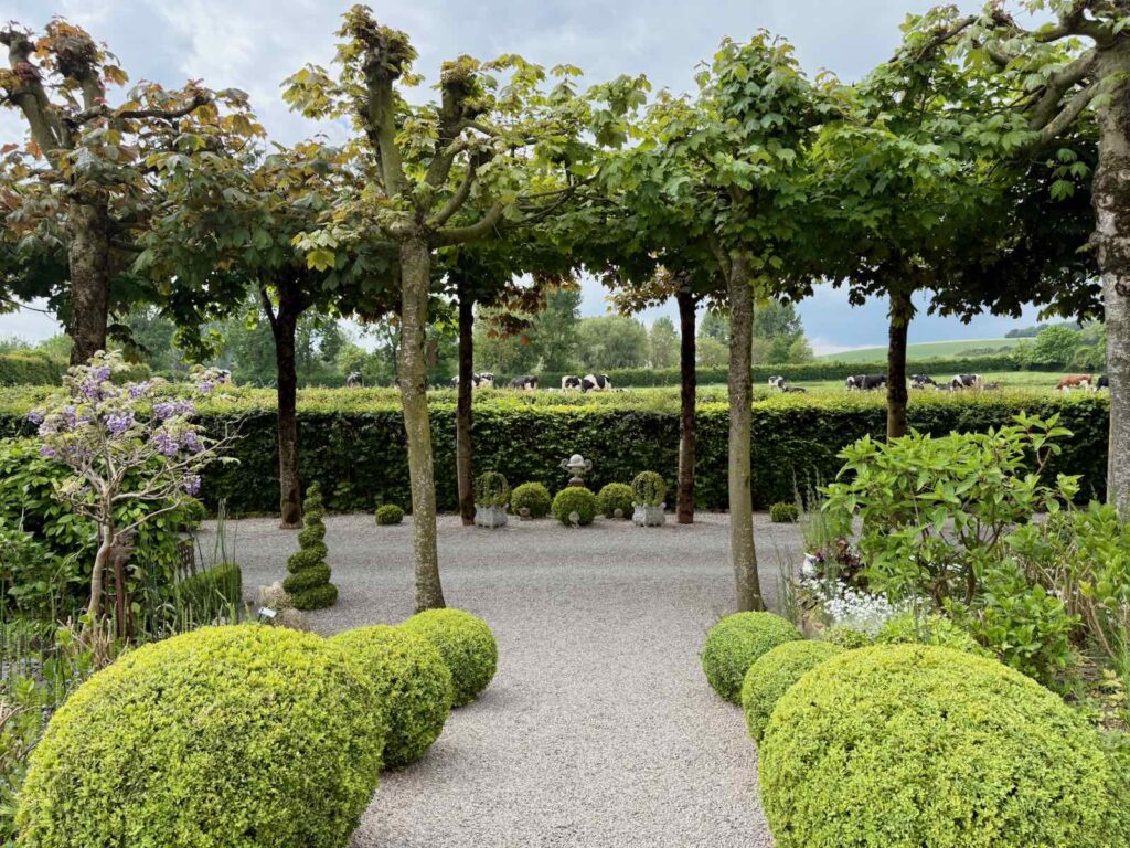 Doudeauville-Jardin-de-la-Maison-des-champs-allee-buis