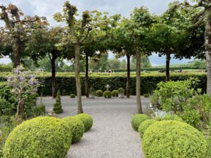 Doudeauville-Jardin-de-la-Maison-des-champs-allee-buis