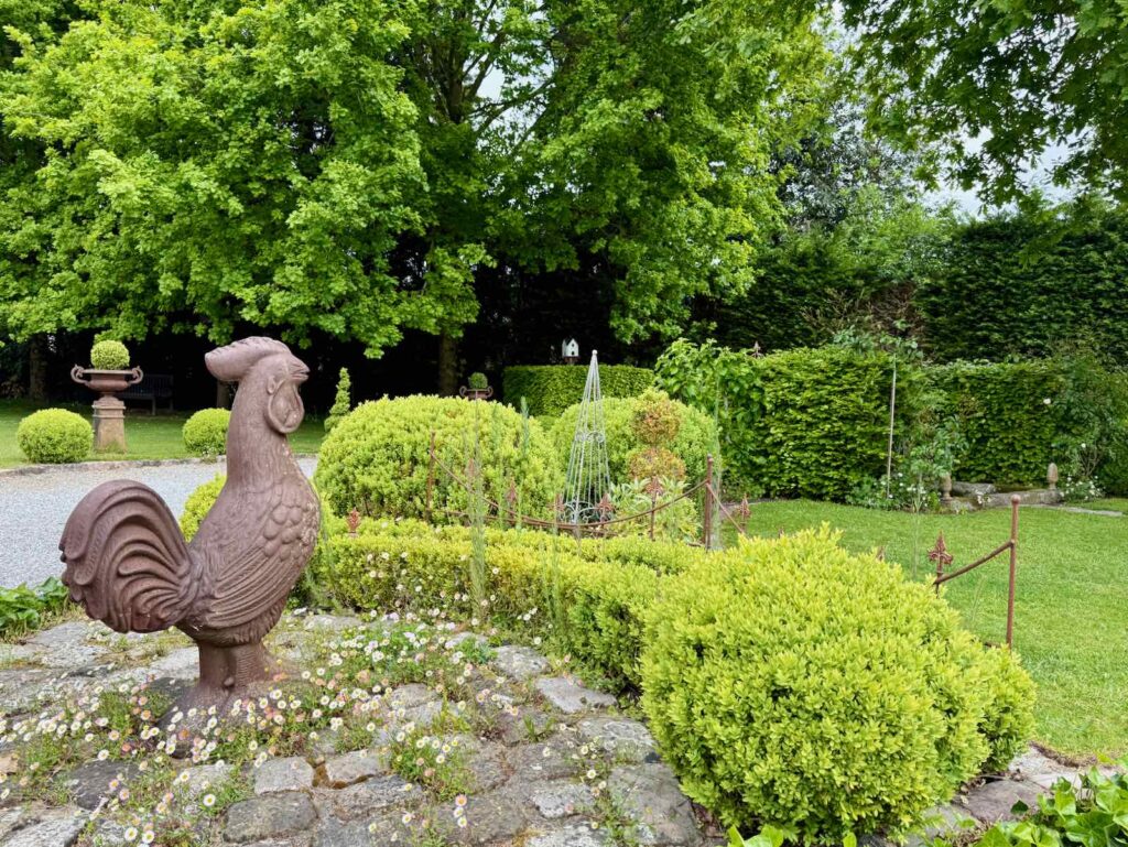 Doudeauville-Jardin-de-la-Maison-des-champs-coq