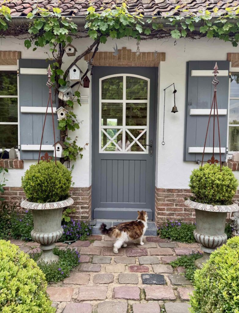 Doudeauville-Jardin-de-la-Maison-des-champs-porte-et-chat