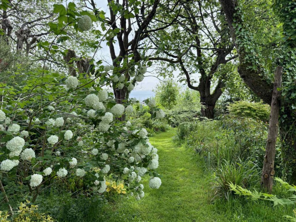 Manger-non-loin-de-la-Cote-d-Opale-Gouy-Saint-Andre-L-Encas-et-L-Echoppe-fleurs