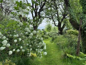Manger-non-loin-de-la-Cote-d-Opale-Gouy-Saint-Andre-L-Encas-et-L-Echoppe-fleurs