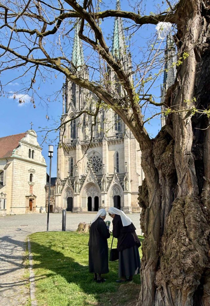 Olomouc-cathedrale-saint-Venceslas-exterieur
