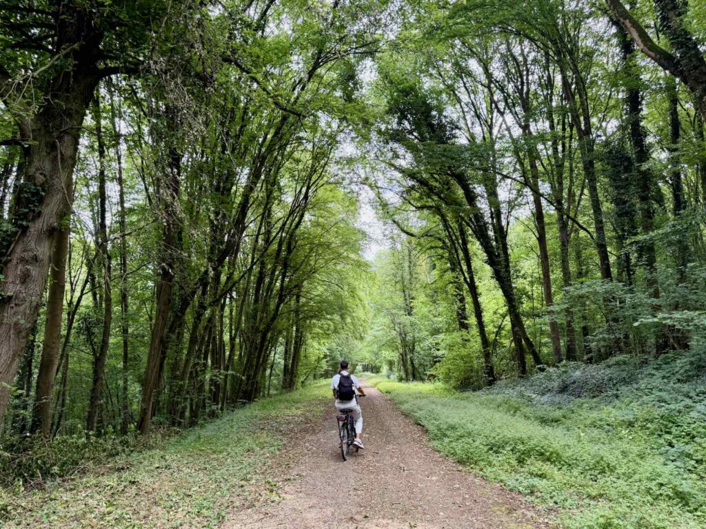 EuroVelo3-Thierache-voie-dans-sous-bois