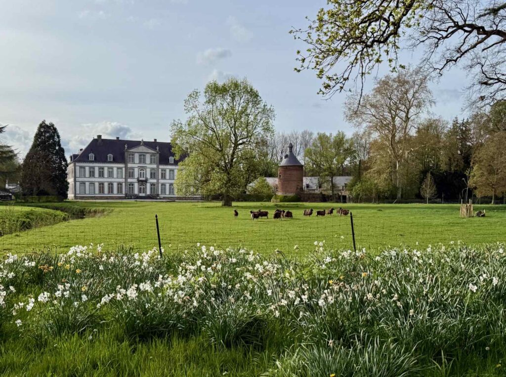 Chateau-d-Attre-vu-de-loin