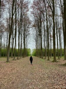 Chateau-de-Belœil-moi-dans-allee-boisee