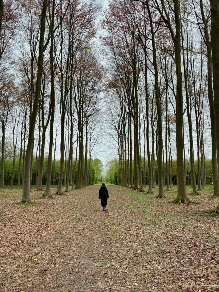 Chateau-de-Belœil-moi-dans-allee-boisee