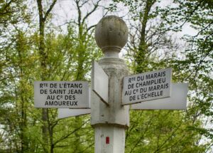 Forêt de Compiègne - Arnaud Beauvois - Oise Tourisme
