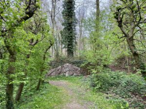 Wallonie-chateau-d-Enghien-bois