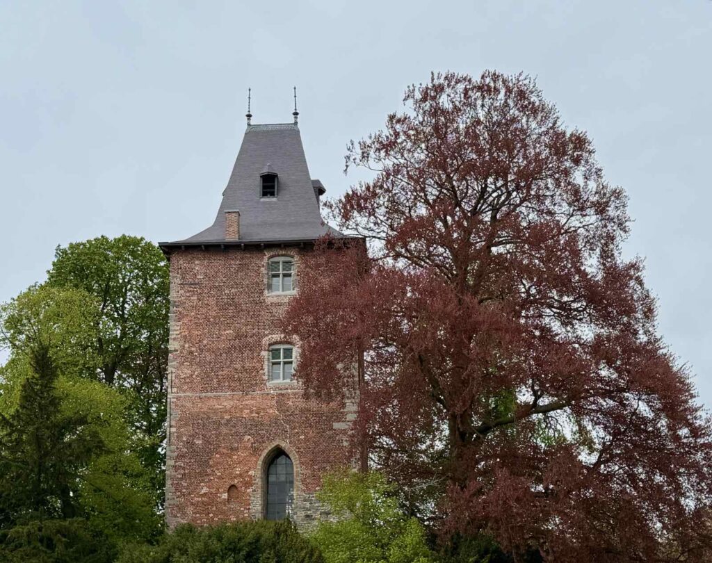 Wallonie-chateau-d-Enghien-tour-carree