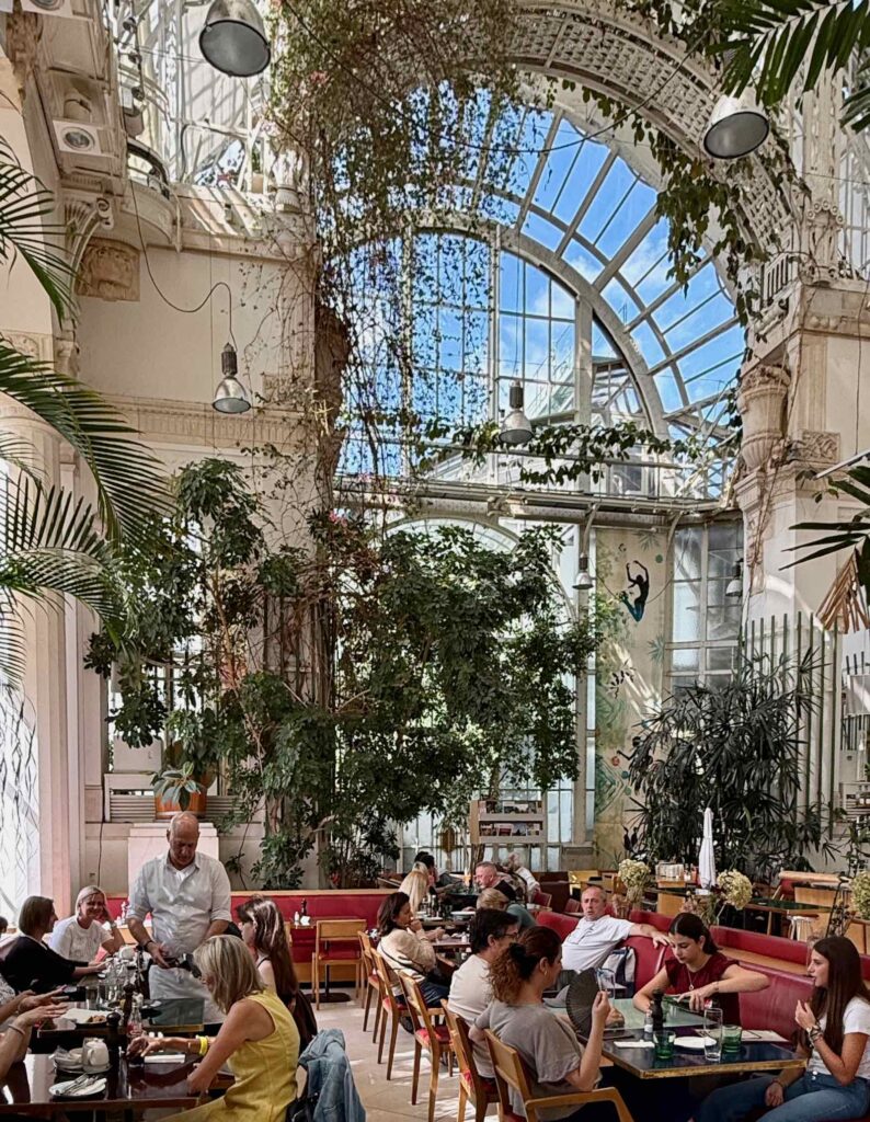 Cafés-viennois-Palmenhaus-salle