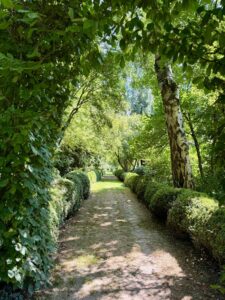 Les-Jardins-de-Maizicourt-allee-bordee-de-buis