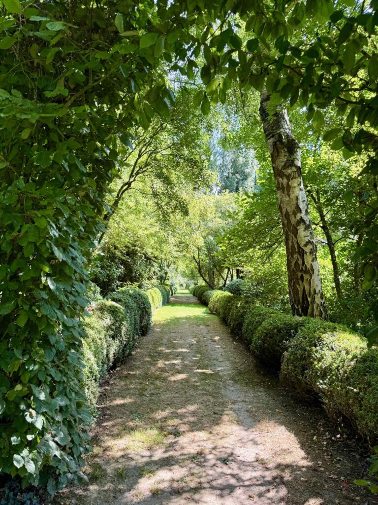 Les-Jardins-de-Maizicourt-allee-bordee-de-buis