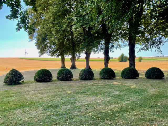 Les-Jardins-de-Maizicourt-au-dela-propriete