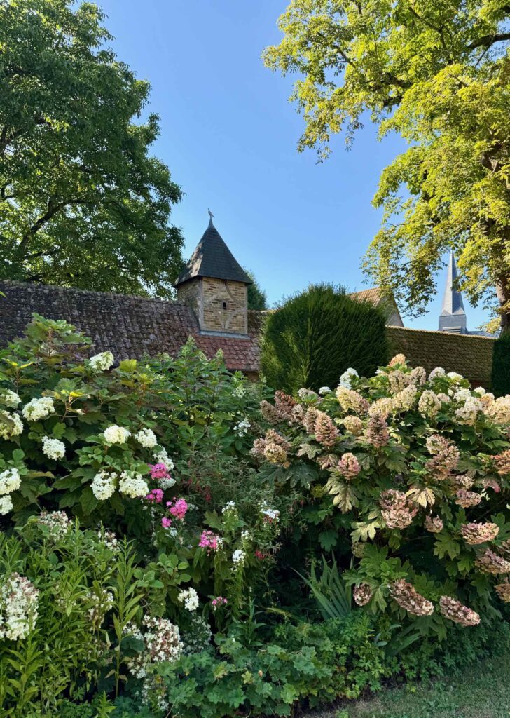 Les-Jardins-de-Maizicourt-fleurs