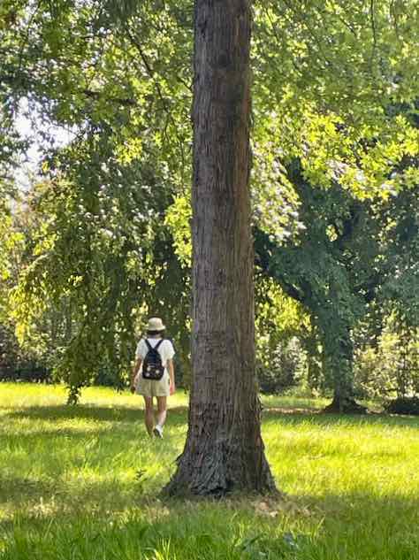 Les-Jardins-de-Maizicourt-grand-arbre
