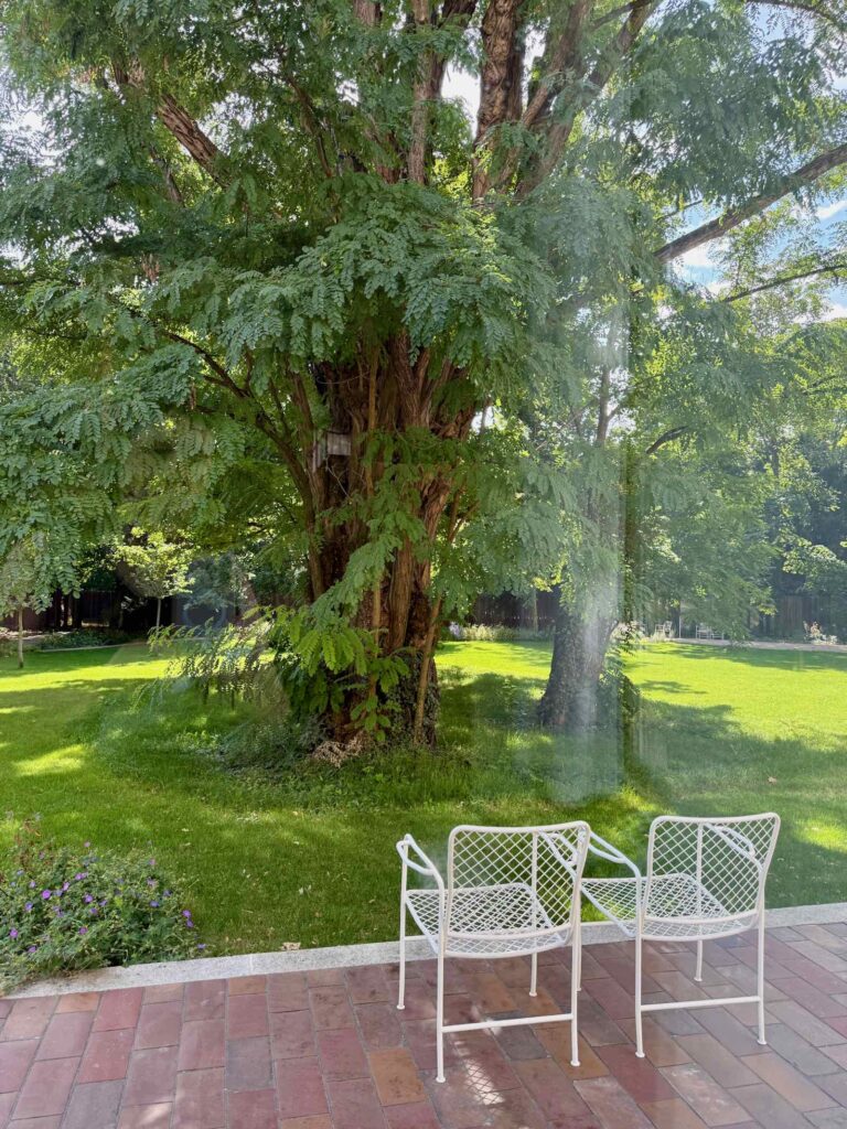 Vienne-Villa-Beer-vue-sur-jardin
