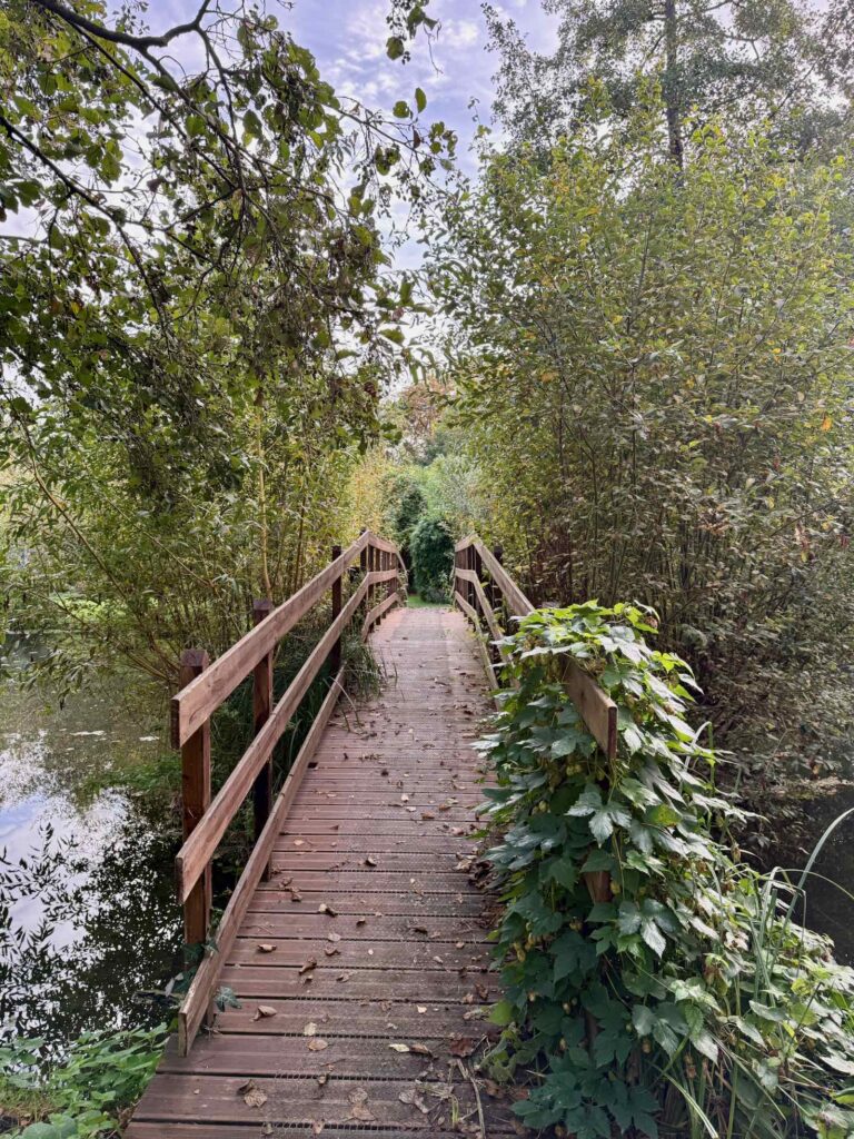 Amiens-hortillonnages-D-Une-Ile-a-l-autre-pont
